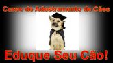 ADESTRAMENTO CANINO