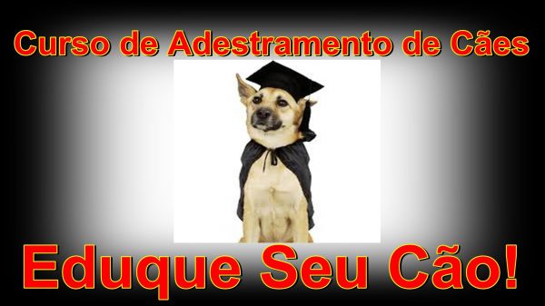 ADESTRAMENTO CANINO